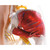Two-in-One Intramuscular Injection Model of Buttocks Type 2 1022267