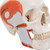 In this human skull model the masticatory muscles (masseter, temporal, medial and lateral pterygoid muscles) are represented as elastic bands. This skull model is suited to demonstrate the function of the masticator muscles with jaw occlusion, the initial stage of jaw opening and the movements of the mandible to the side and front. The skullcap is removable.
