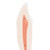 Lower Canine Human Tooth Model, 2 part - 3B Smart Anatomy