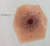 Nasco Healthcare Xtreme Intermediate Shotgun Entry 800-009