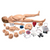 Nasco Healthcare Gaumard® NOELLE® Maternal and Neonatal Birthing Simulator with PEDI® Blue Neonate - Light SB37713 L