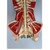 Spinal Cord Model MG13442