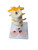 Three Lumbar Vertebrae with Herniation and Prolapse Model MG19857U