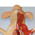 Domestic Pig Model, 10-Parts MG20125U