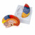  Neuro Brain Model, 2-Parts MG21721U