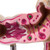 Colon with Intestinal Pathologies Model MG21850