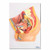 Male Pelvis Model, Midsection, 4 Parts MG30140U