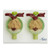Nephrons with Pathology Model, 300X Enlarged MG29879U
