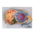 Animal Cell Model, 13,000X Enlarged MG6410U