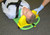 CombiCarrierII® Head Immobilizer