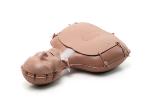 Mini Anne&reg; Plus image 3