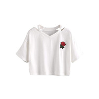 [Sample] Orbit Terrarium - Small