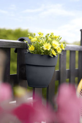 Easy Hanger Single Planter Anthracite