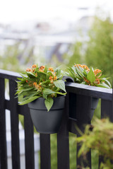 Elho Flower Twin Planter Anthracite