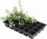 Garland Seed Tray 24 Cell 