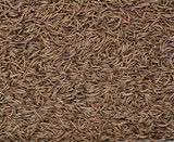 Henry Bell Mealworm 100g