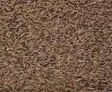 Henry Bell Mealworm 500g