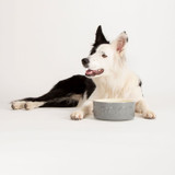Scruffs Classic 3.5L Dog Food Bowl 25x10cm Grey