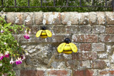 Smart Garden Hangers On Bees