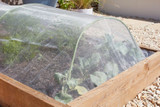 Smart Garden Insect Guard For Carrot Fly