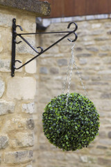 Smart Garden Topiary Ball Box Leaf 30cm