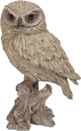 Vivid Life Wood Life Little Owl