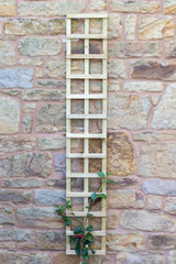 1.8mx305mm Fixed Trellis