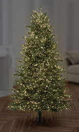 Premier 1000 LED Treebrights Warm White