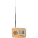 Radio With Alarm Function and Thermometer