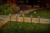 Smart Garden Biba Solar Light Pack of 8