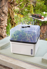 Smart Garden Perfect Propagator