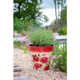 Creekwood Zest Garden Indoor Outdoor Pot Poppies & Bees 30cm