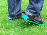 GreenKey Aerating Shoes 