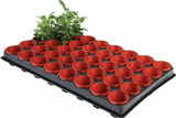 Garland 6cm Pots Seed & Cutting Tray 