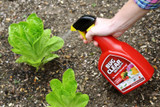 Bug Clear Ultra Gun For Flowers Fruit and Veg 1 Litre