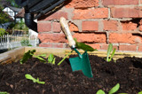 Wilkinson Hand Trowel 