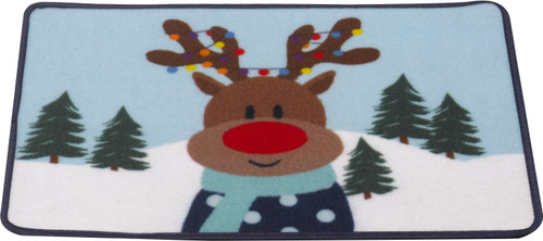 Merry Rudolph Xmat 40x60cm