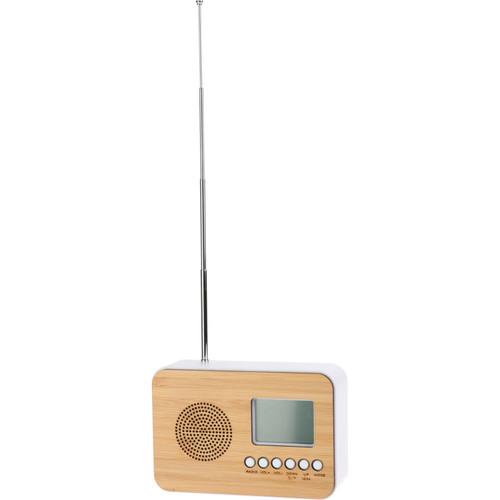 Radio With Alarm Function and Thermometer
