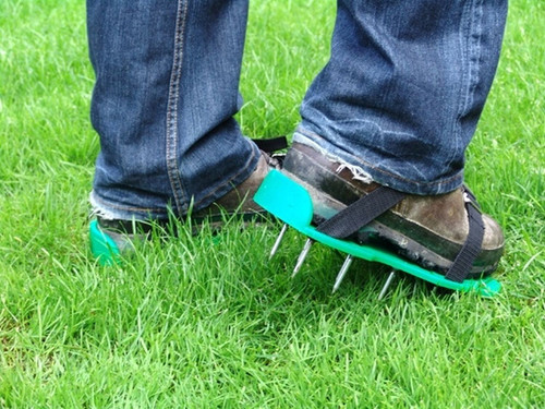 GreenKey Aerating Shoes 