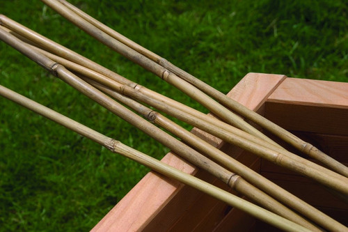 Bamboo Canes 0.9m Pack of 20