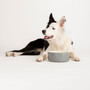 Scruffs Classic 3.5L Dog Food Bowl 25x10cm Grey