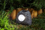 Smart Garden Granite Rock Solar Spotlights pk4