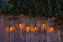 Smart Garden Cool Flame 10 String Lights