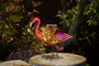 Smart Garden Spiralight Flamingo