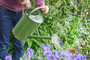 Metal Watering Can 9ltr Green