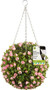 Smart Garden Topiary Ball Pink Rose 30cm