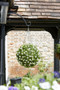 Smart Garden Topiary Ball White Rose 30cm