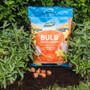 Westland Bulb Compost 20ltr