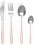 Salter Metallic Champagne Cutlery Set 16pce