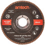 Am-Tech  115mm Flap Disc (60 Grit) 